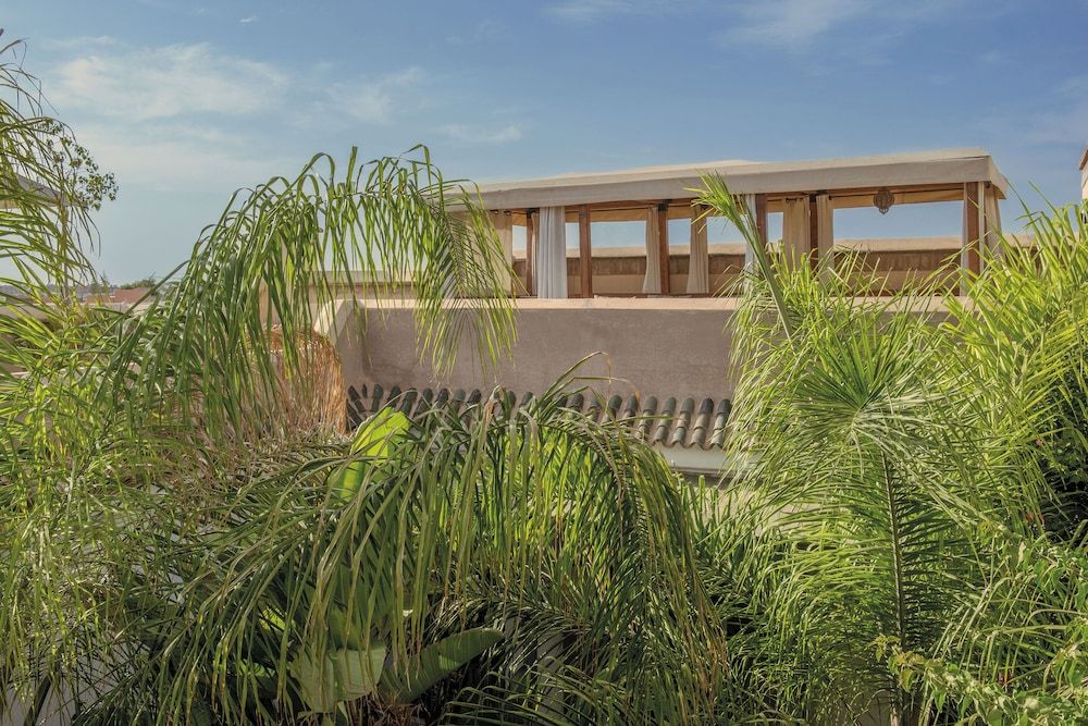 undefined Riad Jaaneman 9