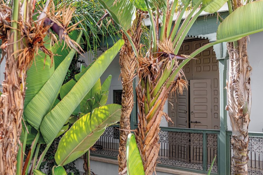 undefined Riad Jaaneman 7