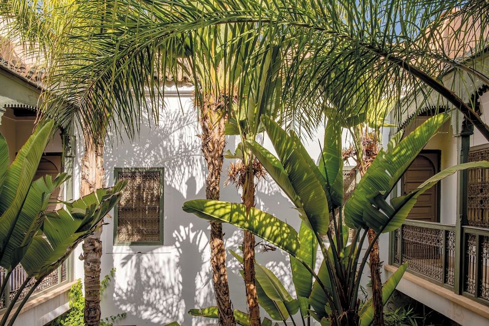 undefined Riad Jaaneman 6