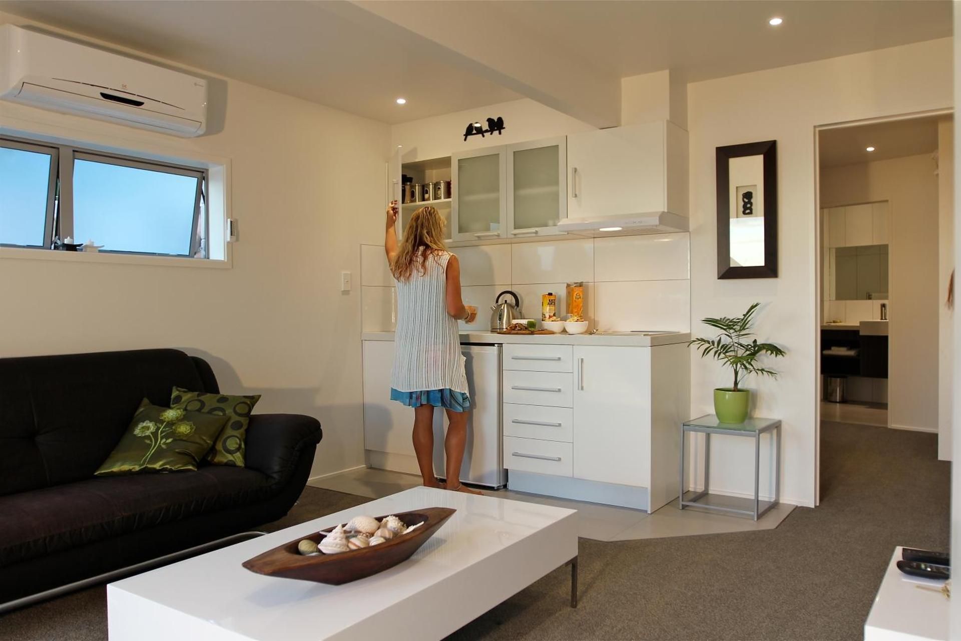 Deluxe One-Bedroom Apartment
