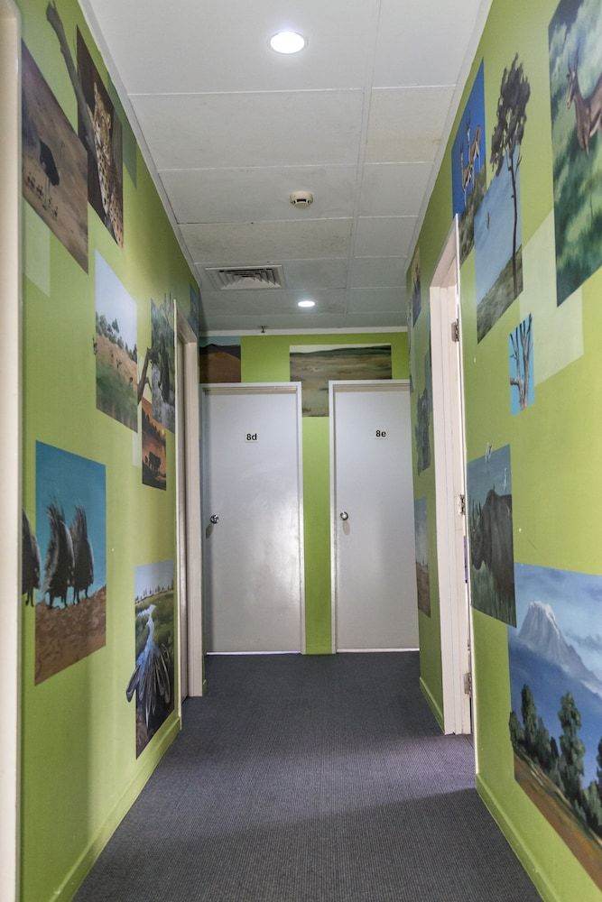 undefined Choice Backpackers 10
