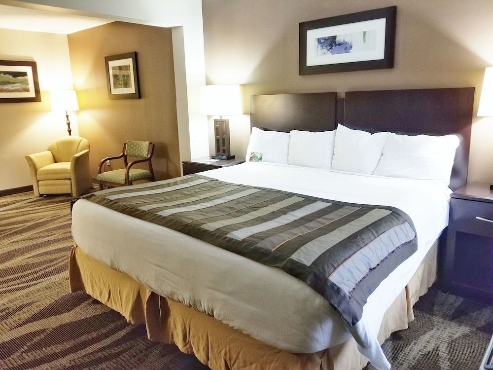Wingate by Wyndham Raleigh Durham Airport RTP Standard Room, 1 King Bed 2