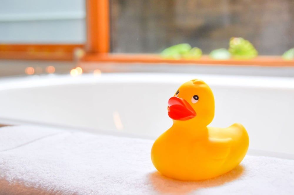 River Birches The Majors Room 2