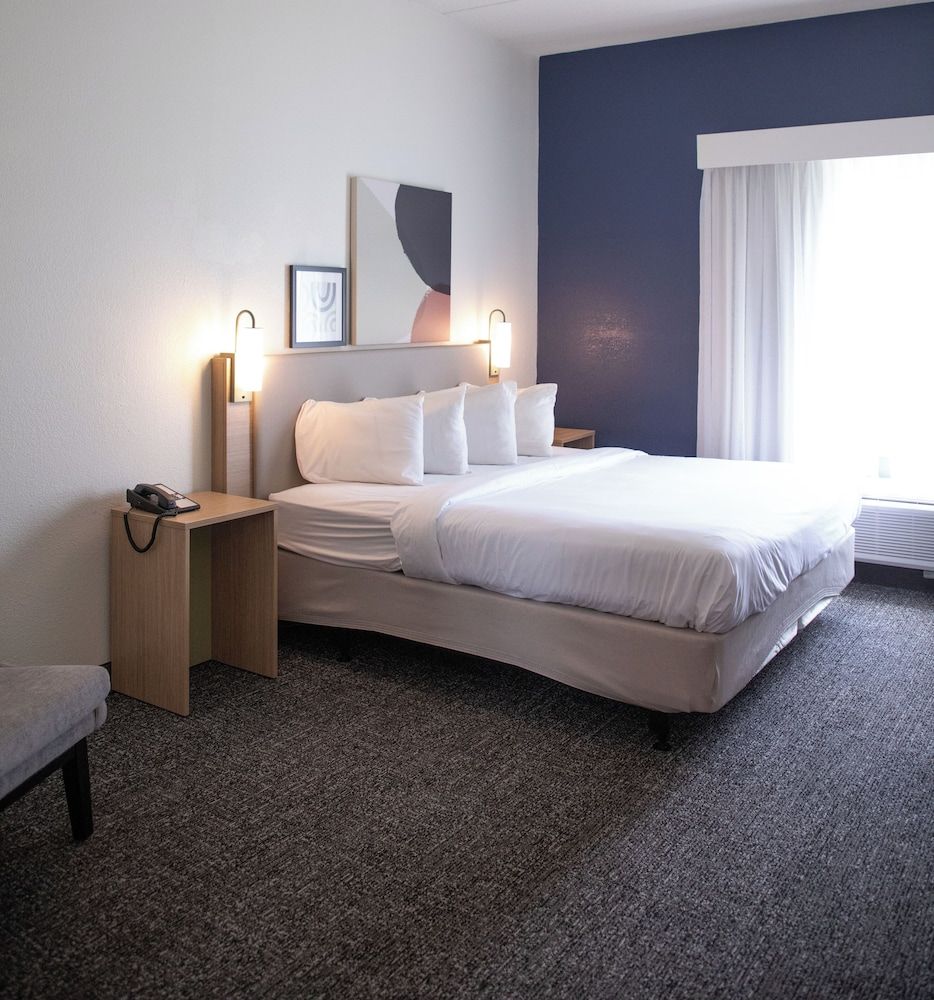 Room, 1 King Bed