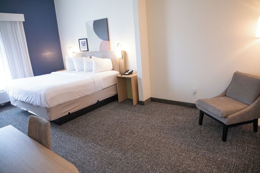 Room, 1 King Bed