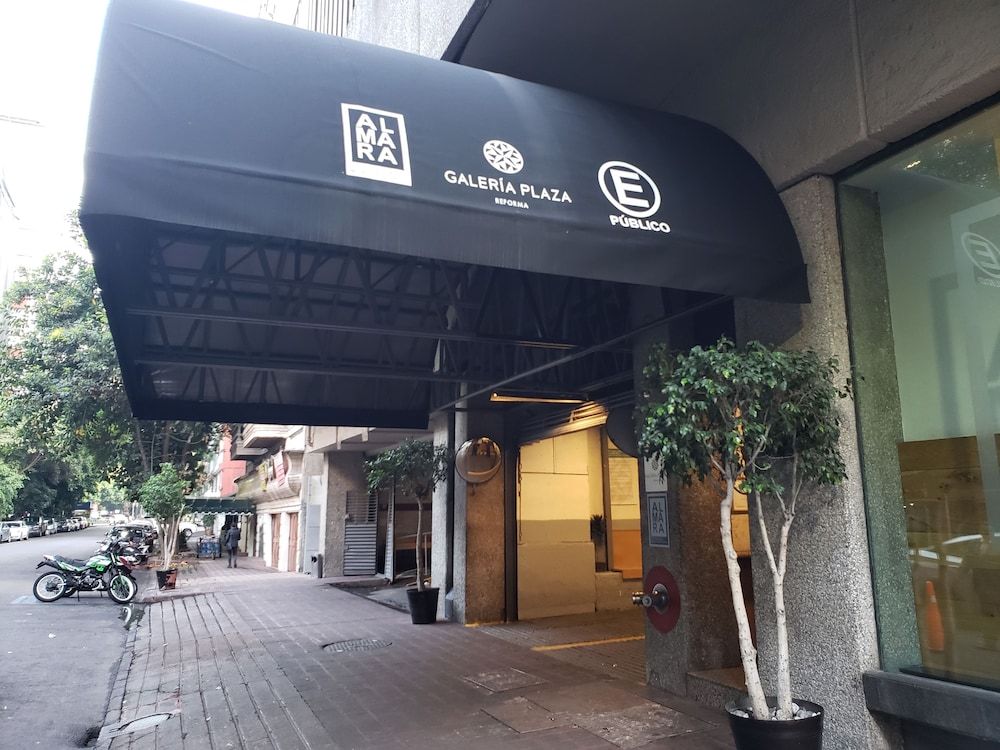 undefined Galeria Plaza Reforma 4