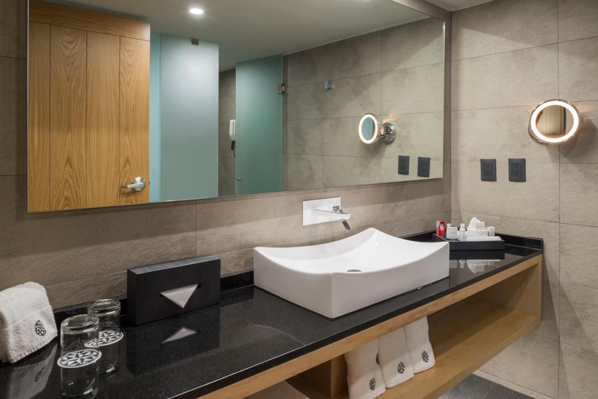 Privilege Master 1 King Bed