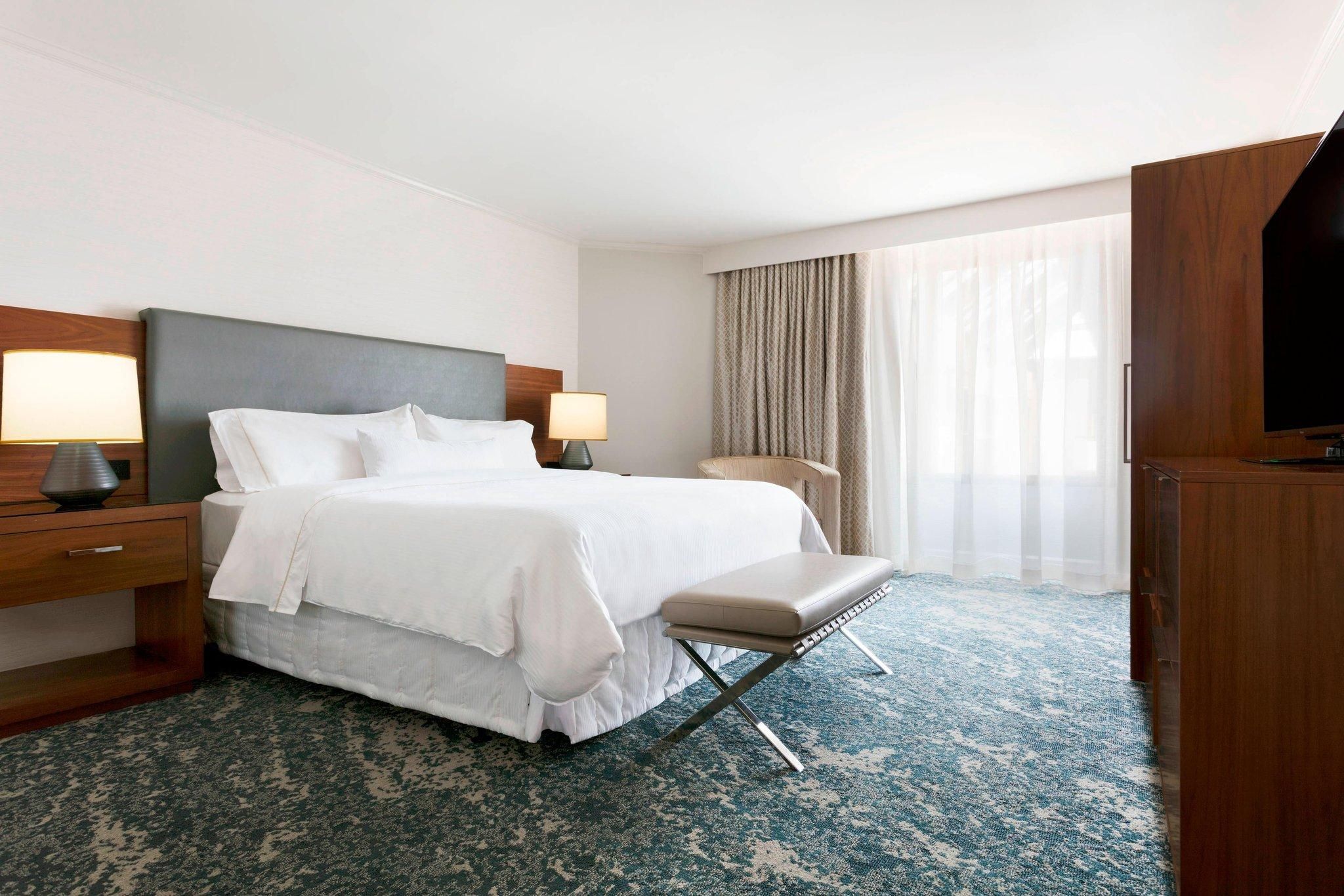 1 Bedroom Suite, 1 King, Sofa bed, Atrium view