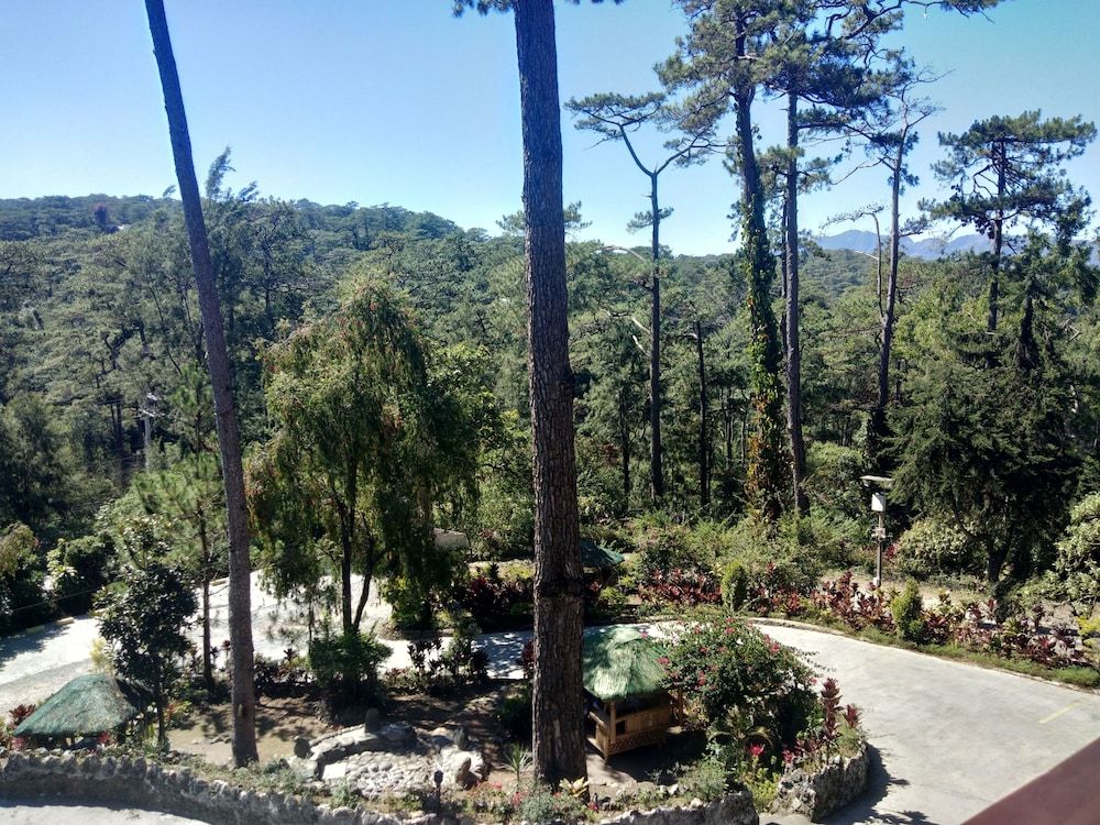 Log Cabin Hotel-Baguio Deluxe M8 6