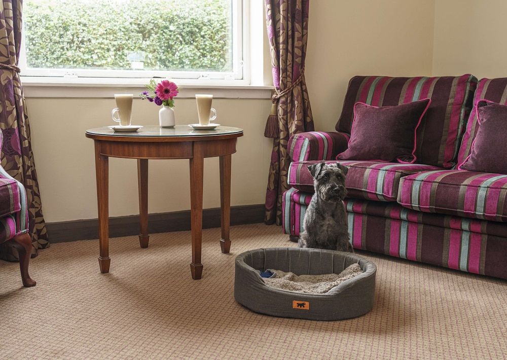 Macdonald Inchyra Hotel & Spa Standard Room, 1 King Bed 5