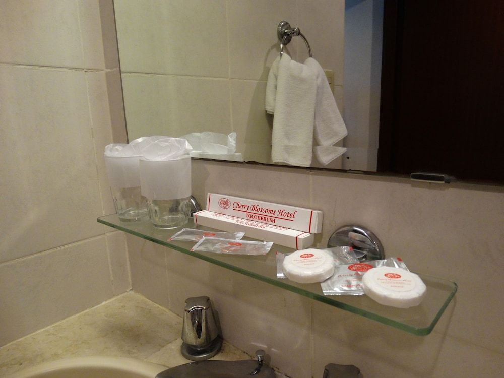 Cherry Blossoms Hotel Deluxe Room 6