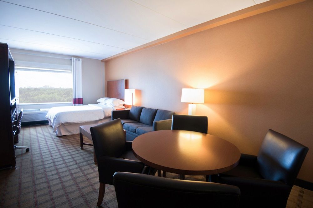 Room, 1 Queen Bed with Sofa bed