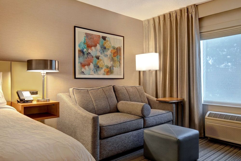 Room, 1 King Bed with Sofa bed