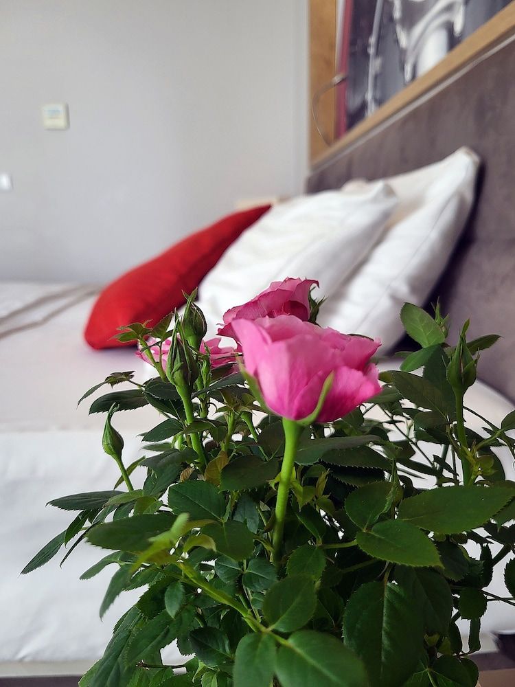 Hotel Forza Comfort Double or Twin Room 9