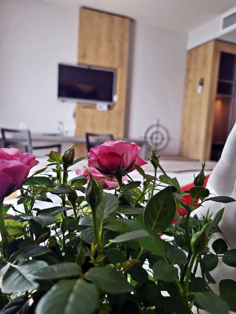 Hotel Forza Comfort Double or Twin Room 21