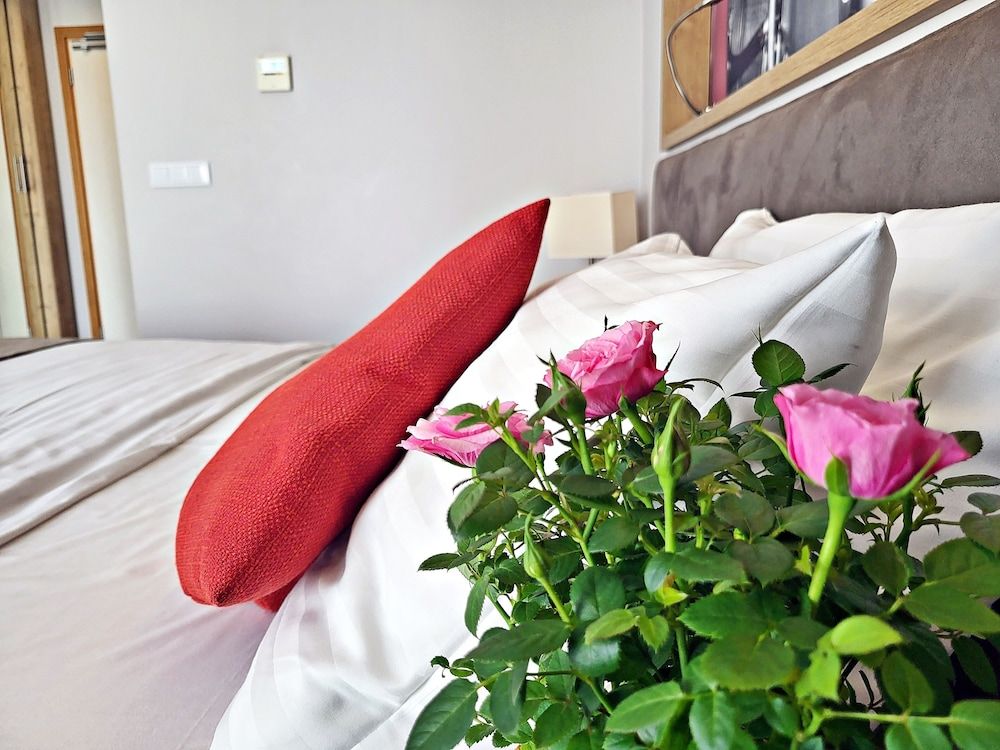 Hotel Forza Comfort Double or Twin Room 3