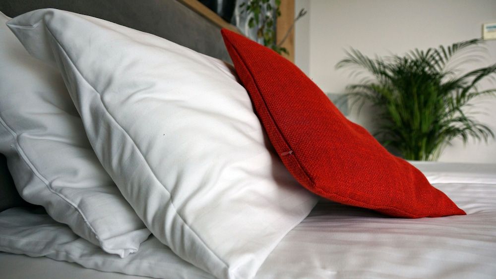 Hotel Forza Comfort Double or Twin Room 8