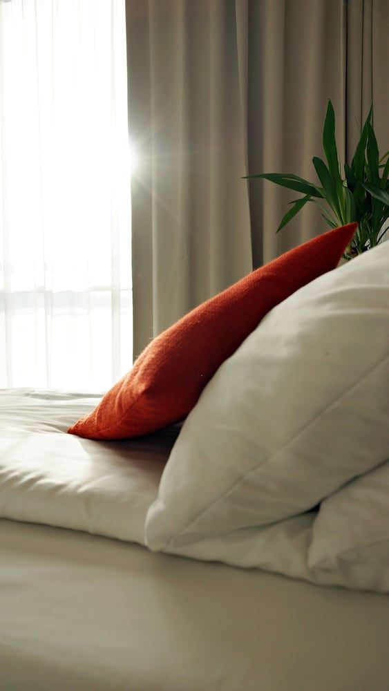 Hotel Forza Comfort Double or Twin Room 11