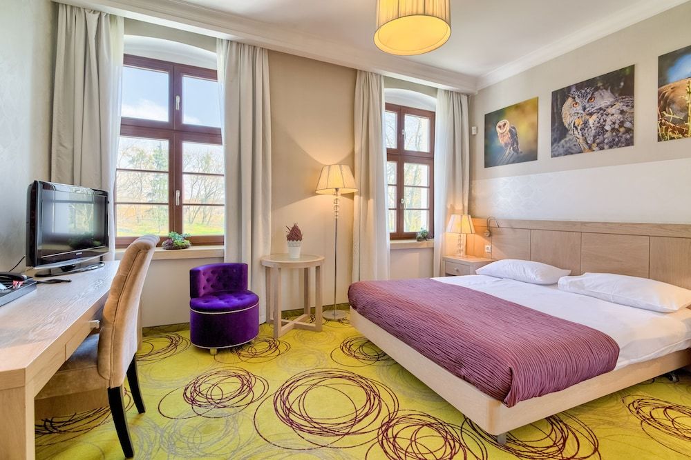 Hanza Pałac Wellness&SPA Double or Twin Room