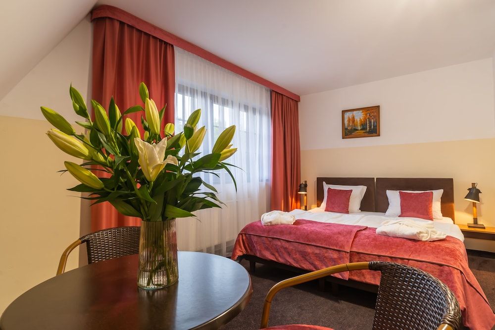 Superior Double or Twin Room, 1 Double Bed, Non Smoking