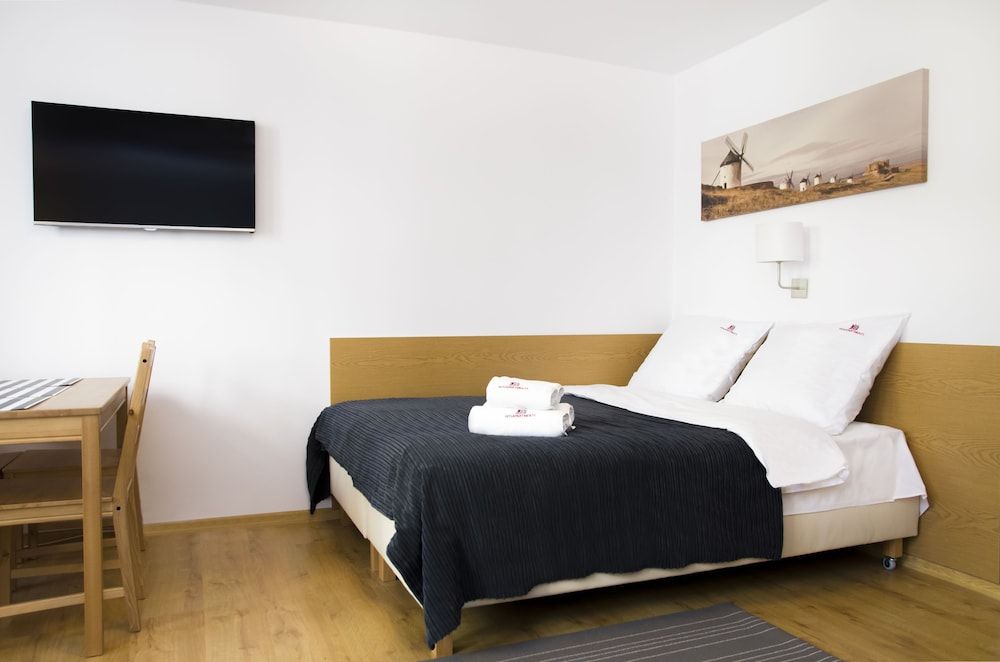 Hosapartments City Center Superior Studio (with sofa bed) 4