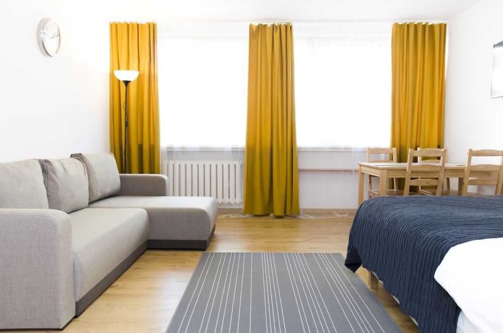 Hosapartments City Center Superior Studio (with sofa bed) 7