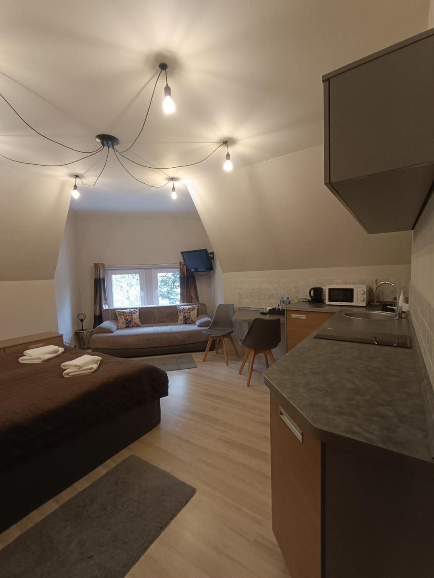 Deluxe One-Bedroom Apartment