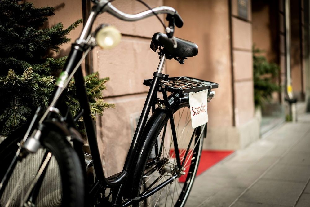 undefined Scandic Continental 6