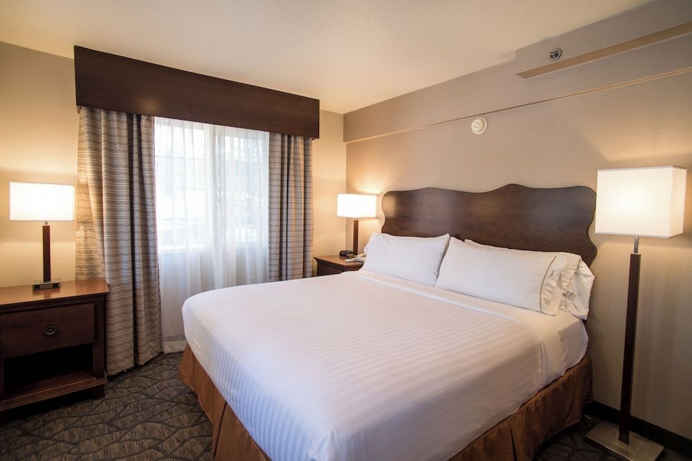Holiday Inn Express South Lake Tahoe by IHG Standard Room, 1 King Bed