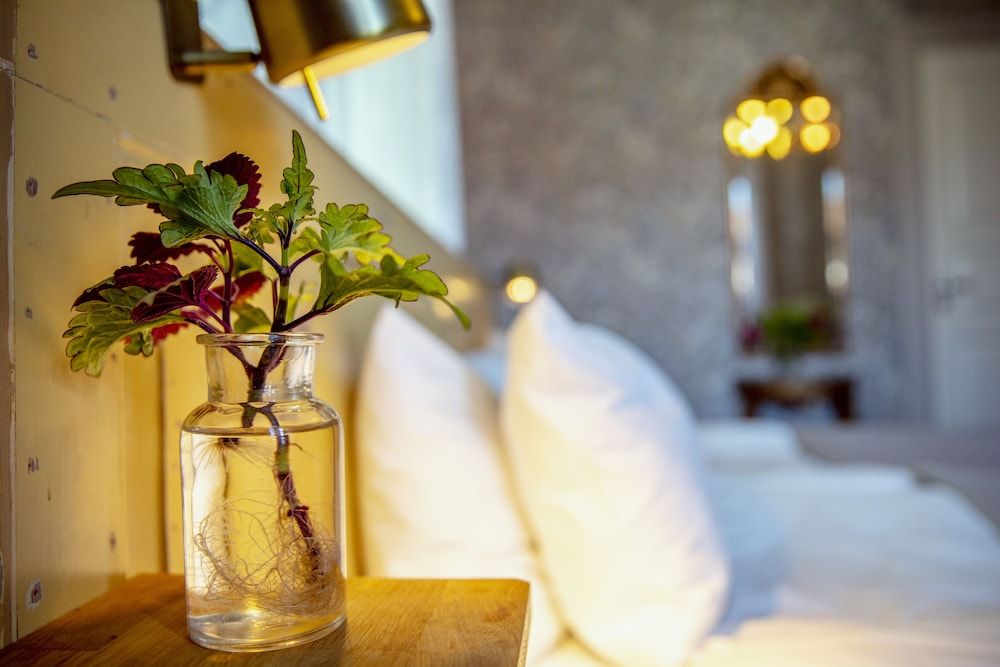 Hotell Park Twin Room 15