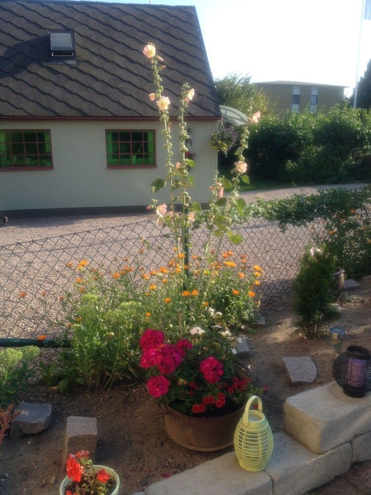 Vivans Bed & Self catering Cabin, 1 Bedroom (Self-catering) 5