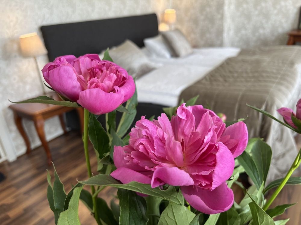 Hotell Bele Superior Double Room 22