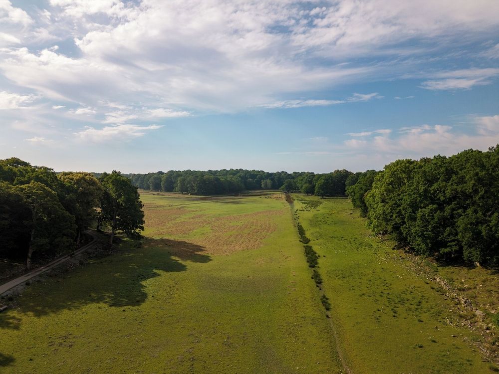 ERIKSBERG Hotel & Nature Reserve Luxury Suite (Arken) 4