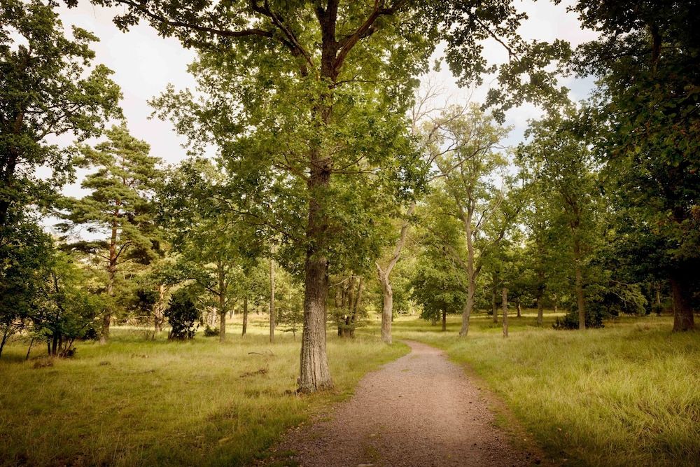 undefined First Camp Stensö Kalmar 10