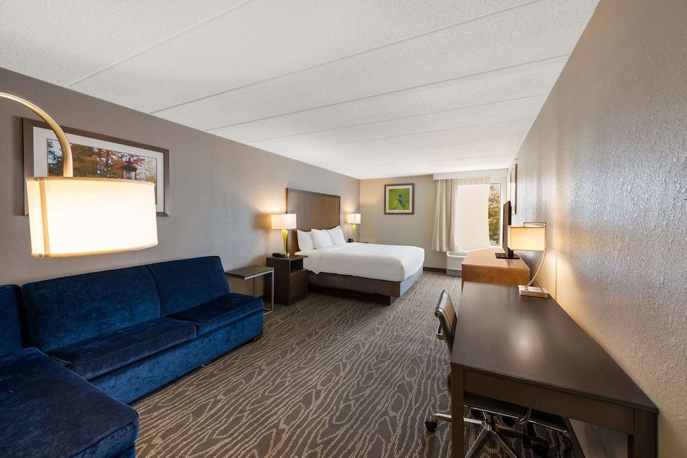 Suite, 1 King Bed, Non Smoking