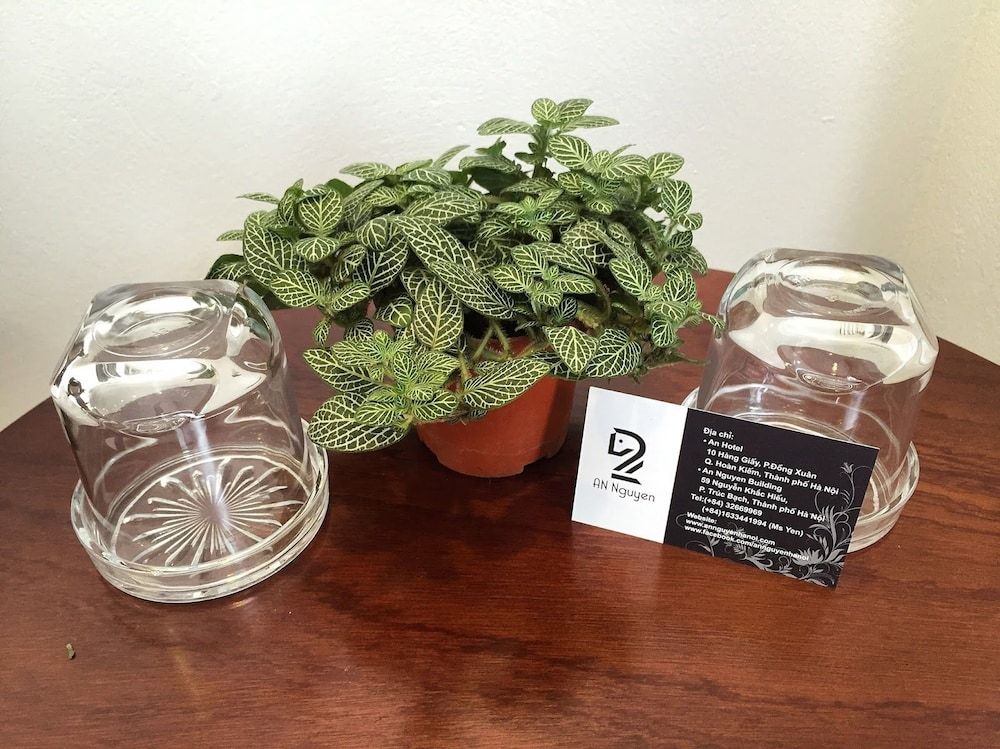 undefined An Nguyen Boutique Hotel 2