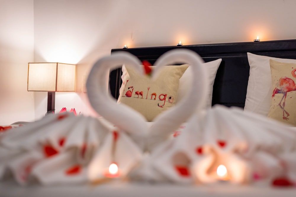 Flamingo Villa Hoi An Superior Double Room - Spacious with Balcony 17