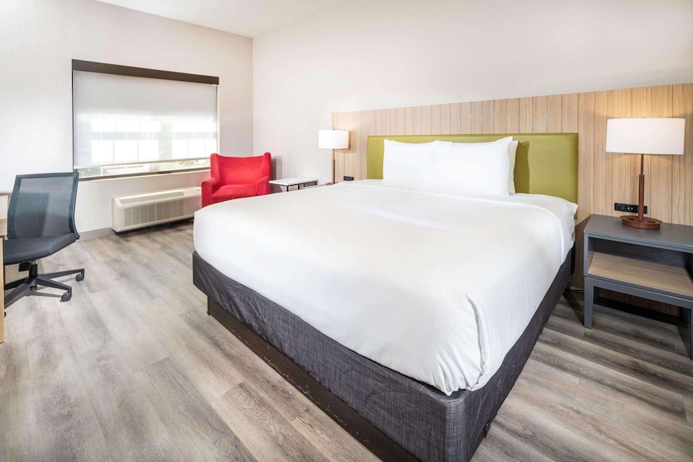 Room, 1 King Bed, Accessible, Non Smoking