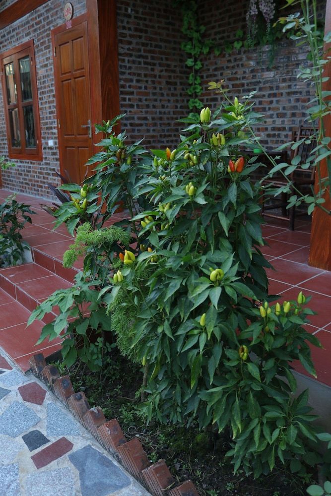 undefined Thanh Dat Homestay 9