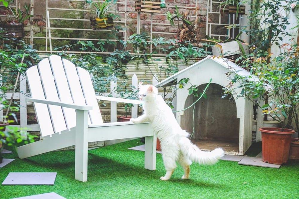 undefined Hanoi Vintage Homestay 6