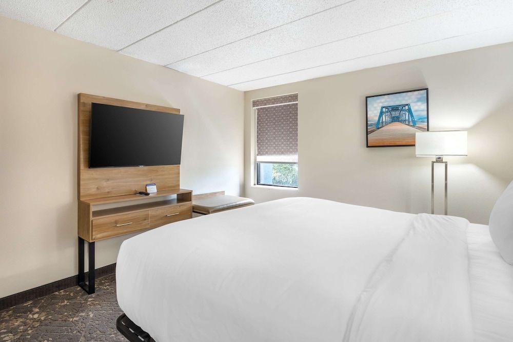 Suite, 1 King Bed with Sofa bed, Accessible, Non Smoking