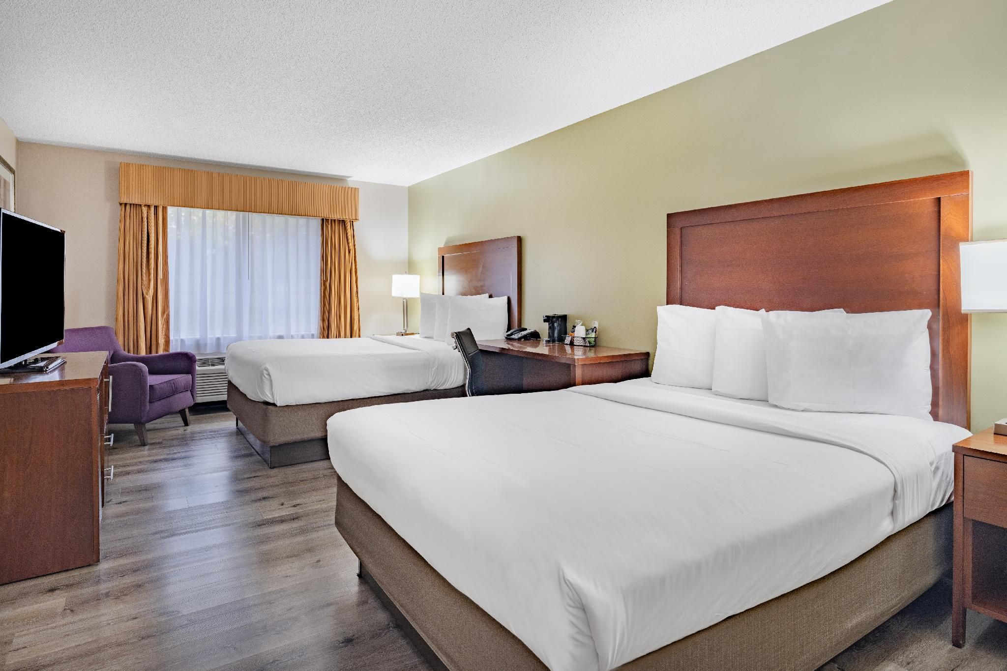 1 King Bed Non Smoking