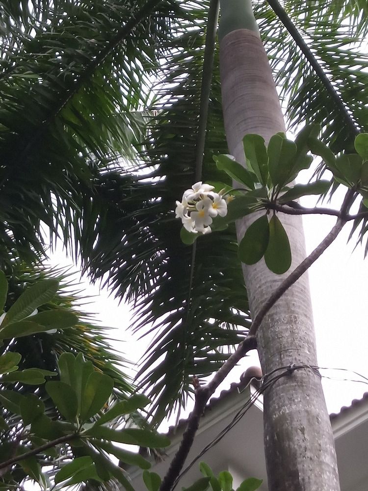 undefined Thao Dien Boutique Hotel 6