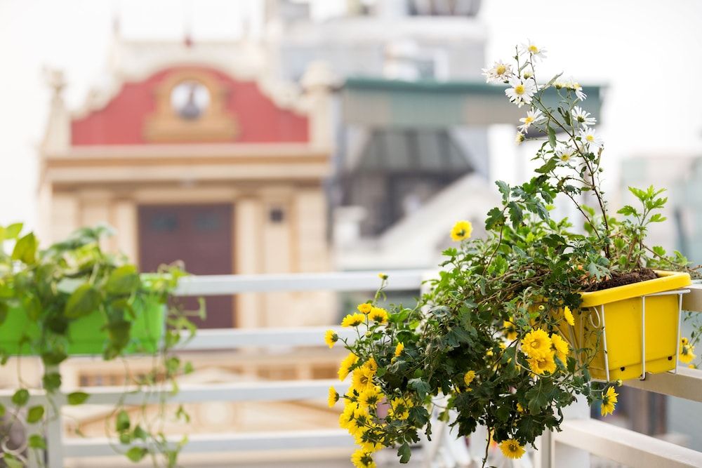 undefined Maro Hotel 6