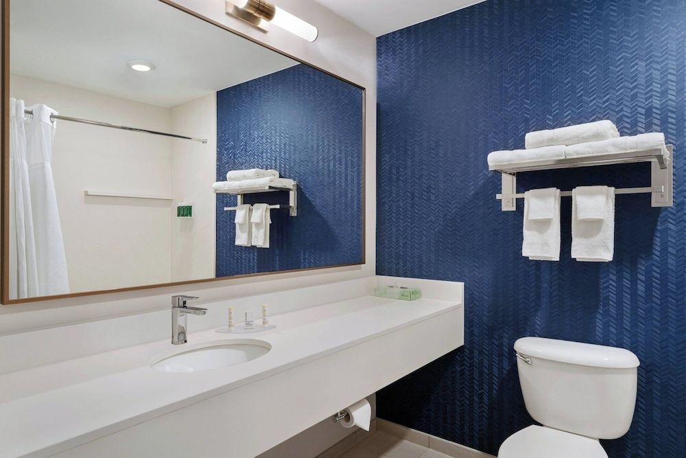 Room, 1 King Bed (Mobility Accessible, Roll-In Shower)