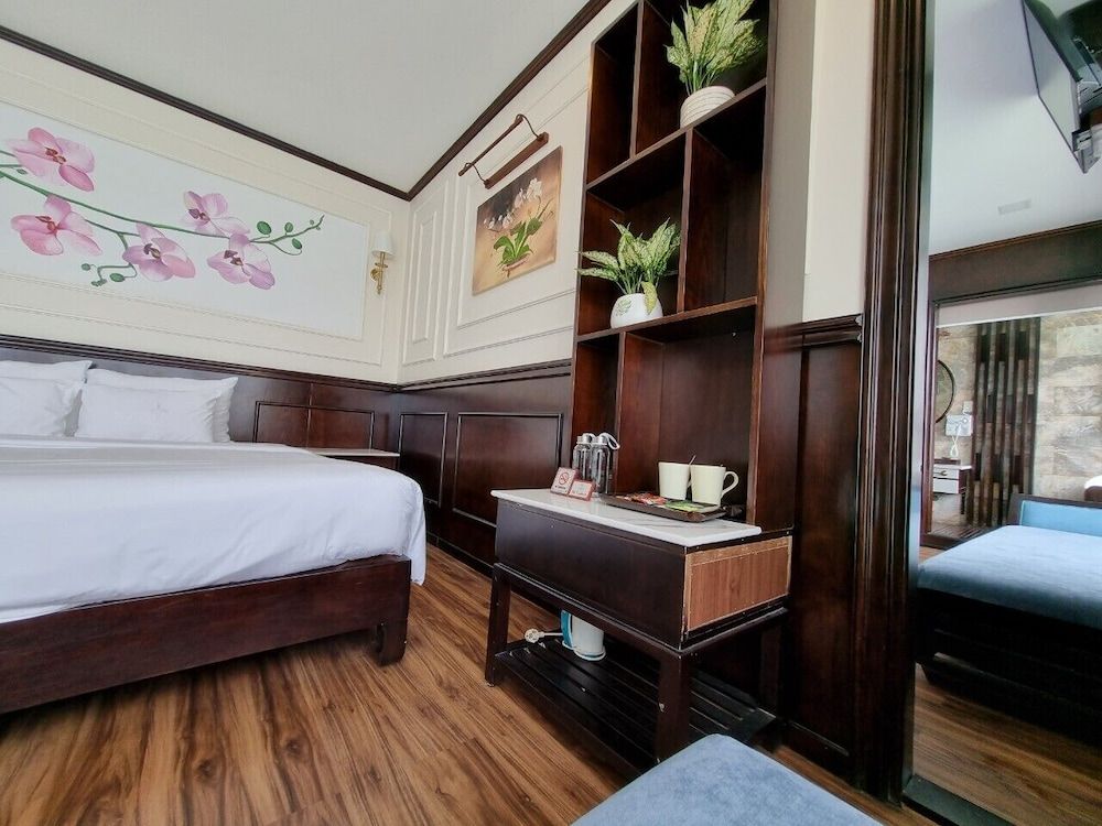 undefined Orchid Trendy Cruise 4