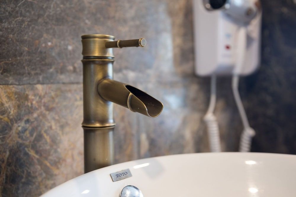 undefined Orchid Trendy Cruise 10