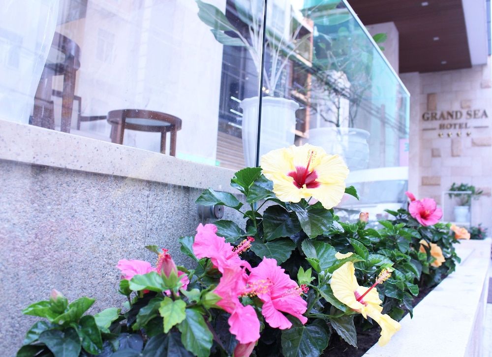 undefined Grand Sea Hotel 9