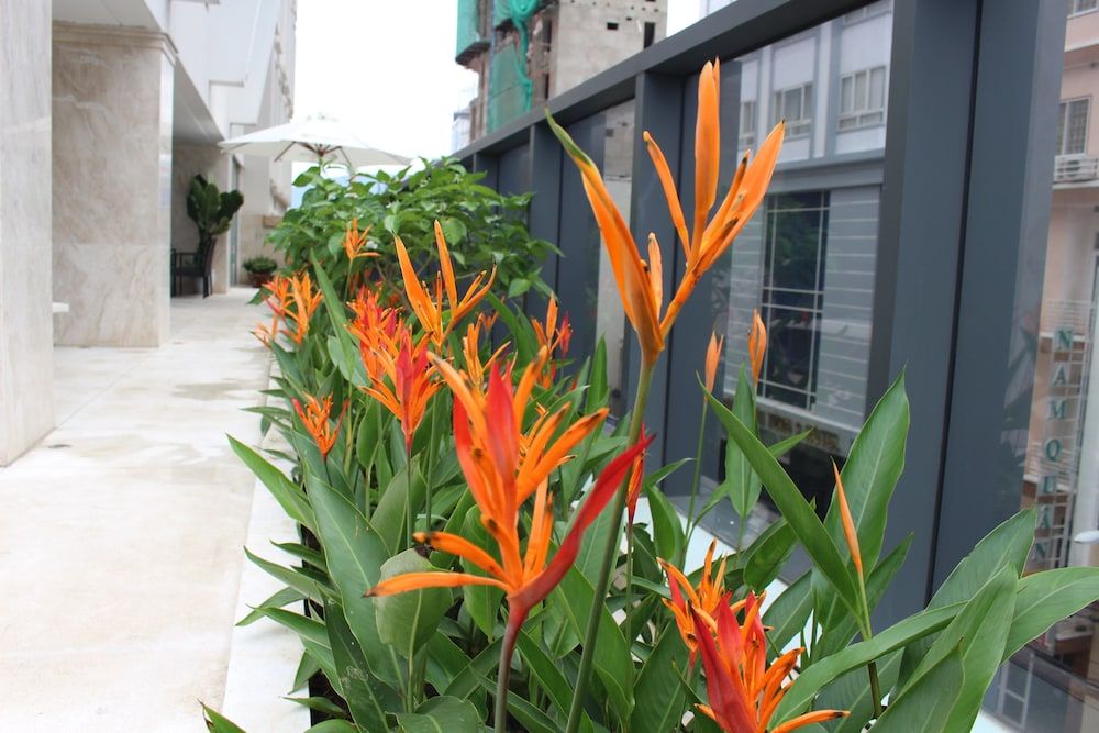 undefined Grand Sea Hotel 3