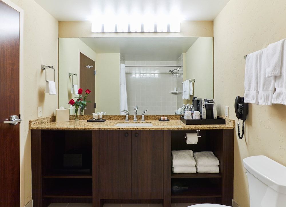 Miccosukee Casino & Resort Deluxe Room, 1 King Bed 4